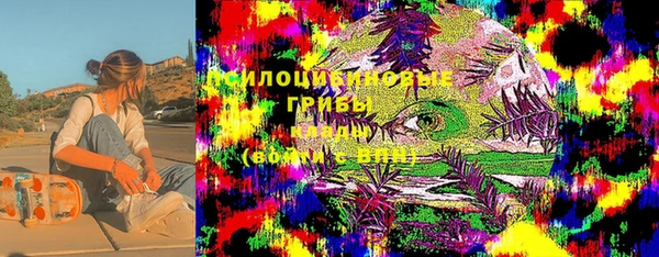 МДМА Козельск