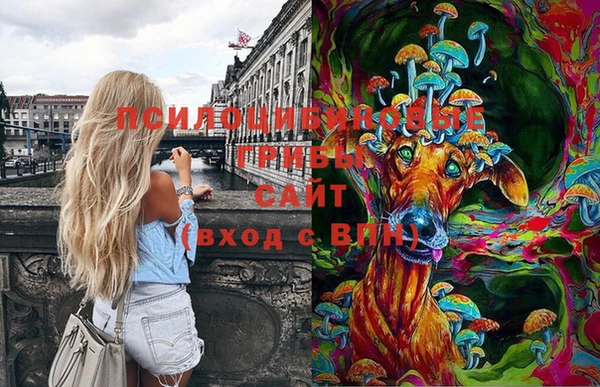 тгк Кодинск