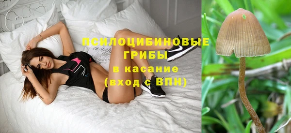МДМА Козельск